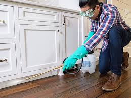 Best Real Estate Pest Inspections  in Lino Lakes, MN